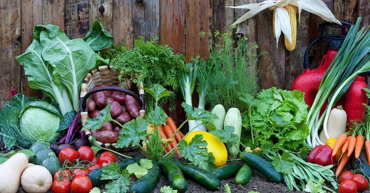 Seizoensproducten: groenten en fruit van het seizoen - Jasperalblas.nl